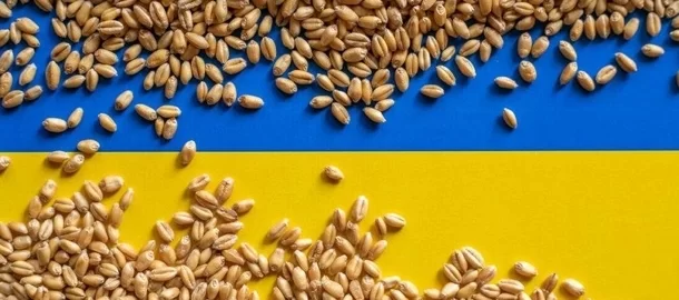 Ukrajna gabonatermelése – Mit hoz a 2023-as év?